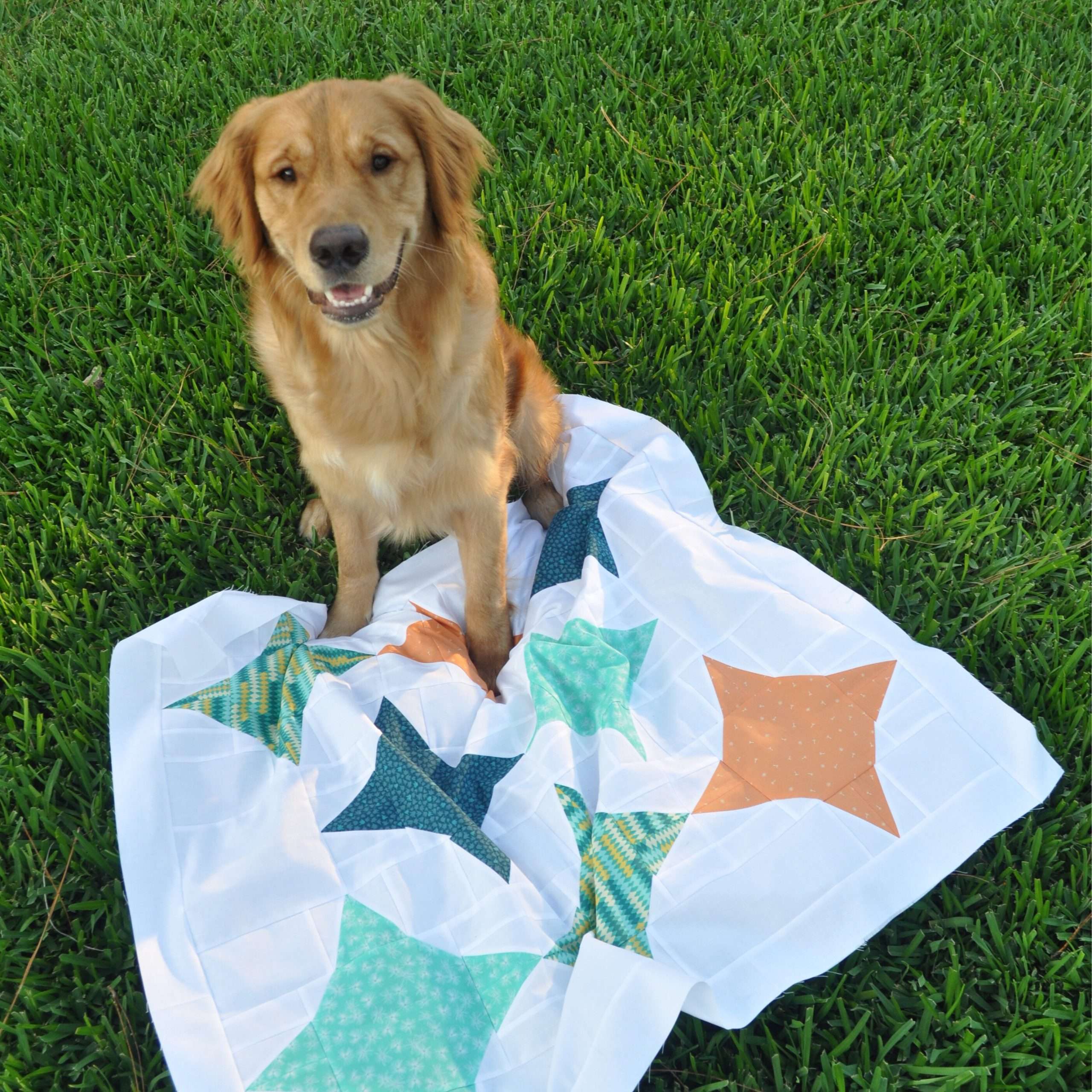 ZESTY // quilt pattern review